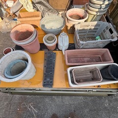 プランター、植木鉢の画像