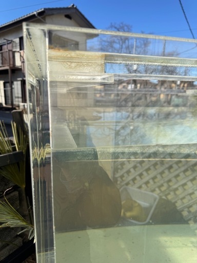 アクリル水槽 900x900xh700700 オーバーフロ 一水槽大型水槽特殊サイズ 金魚熱帯魚