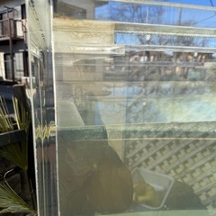 アクリル水槽 900x900xh700700 オーバーフロ 一水槽大型水槽特殊サイズ 金魚熱帯魚の画像