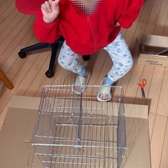 (未使用品) 鳥かごトラップ(おもちゃ扱い、DIY／研究用)、鳥捕獲に使用🈲止の画像