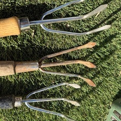 ミニくまで3本セット①の画像