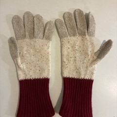 手袋　レディースの画像