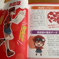 はたらく細胞　人体のふしぎ図鑑、めくって遊べるからだのしくみ2冊セットの画像