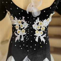 社交ダンスドレスの画像