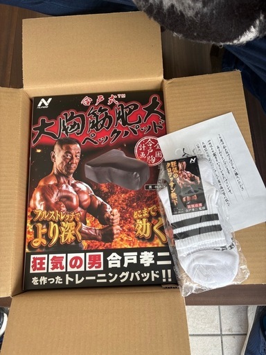 ‼️2月26日まで‼️大胸筋肥大ペックパッド