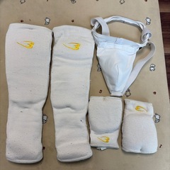 空手服と防具セットの画像
