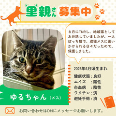 ちょっぴりビビりな「ゆるちゃん」　