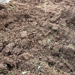 畑の土の画像