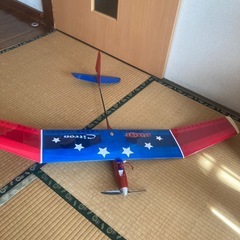 ラジコン電動グライダーの画像