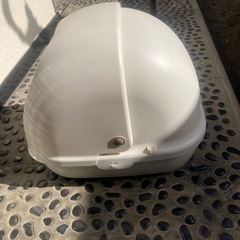 猫様用トイレの画像