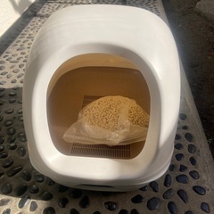猫様用トイレの画像
