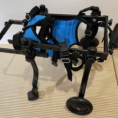 犬用車椅子の画像