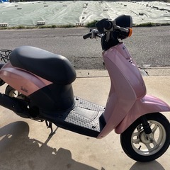 原付　Today AF61の画像