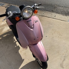 原付　Today AF61の画像