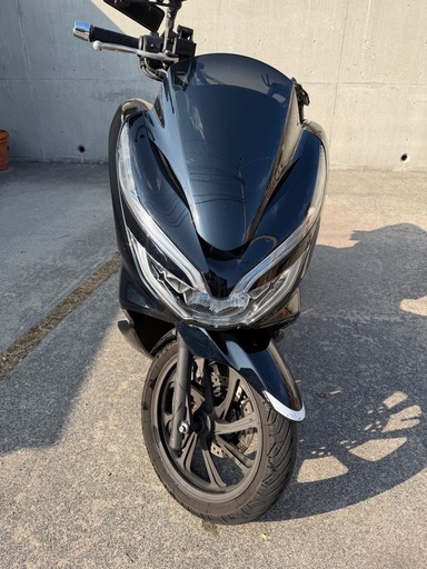 決まりました。pcx jf81  美車