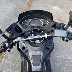 pcx jf81  美車の画像