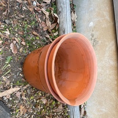 ６号 2個　ポットカバー 鉢 カバー セット ポリプロピレン 日本製 ヤマト ツリー　まとめ売りの画像