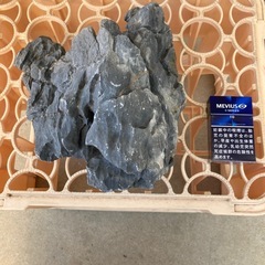 黒蘭石　　龍王石の画像