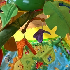 ベビージム  フィッシャープライス
の画像