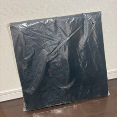 【希少】WTW コンパクトチェア 折りたたみチェア 座椅子 ダブルティー【新品未開封】の画像