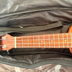 ウクレレの画像