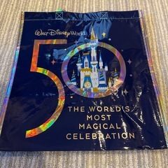 フロリダディズニーワールドエコバッグの画像