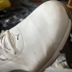 ゴルフシューズの画像