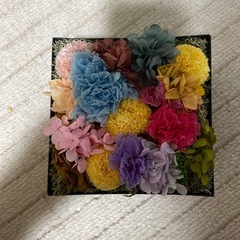 プリザーブドの画像