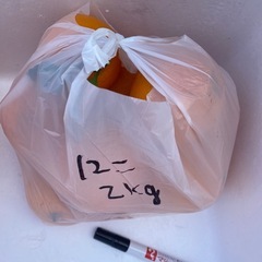 2/10在庫あります🙂 農薬不使用　ネーブル 発送可能の画像