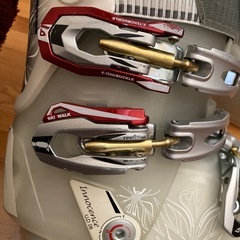 DOLOMITE innocence UD08 23.5cmの画像