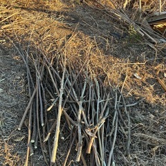 【更新】無料，薪の画像