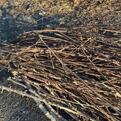 【更新】無料，薪の画像