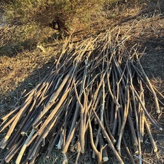 【更新】無料，薪の画像