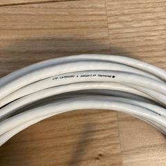 LANケーブル　約12mの画像