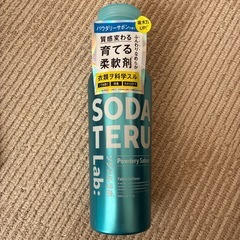 【決定】柔軟剤 2点の画像