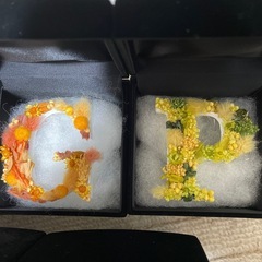 プリザーブド5箱セットの画像