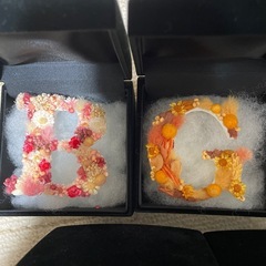 プリザーブド5箱セットの画像