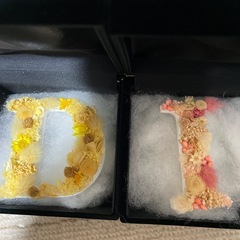 プリザーブド5箱セットの画像