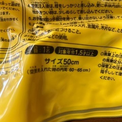 うきわ　プーさん　50cmの画像