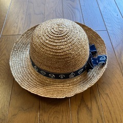 麦わら帽子、120から130センチ男児恐竜半袖、ズボンの画像