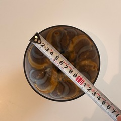 【0円】茶碗の画像