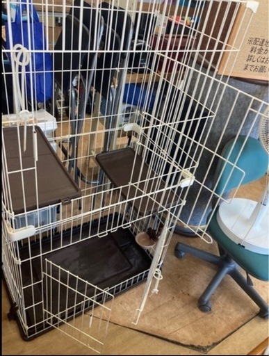 キャットフレンドルーム　　リサイクルショップ宮崎屋　佐土原店　26.2.1
