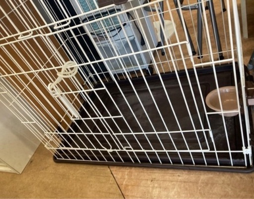 キャットフレンドルーム　　リサイクルショップ宮崎屋　佐土原店　26.2.1