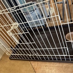 キャットフレンドルーム　　リサイクルショップ宮崎屋　佐土原店　26.2.1の画像
