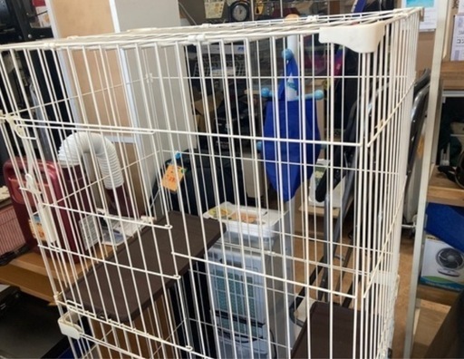 キャットフレンドルーム　　リサイクルショップ宮崎屋　佐土原店　26.2.1