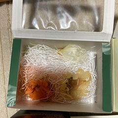 プリザーブドフラワーの画像