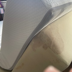 テンピュール電動リクライニングベッド　シングルの画像