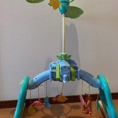 プーメリーの画像