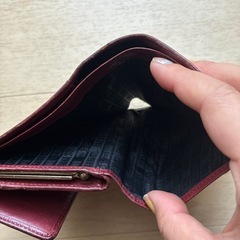 ANNA  SUI 財布の画像