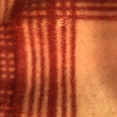 カシミヤ羊毛こんの画像